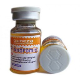 Androne 250 Image