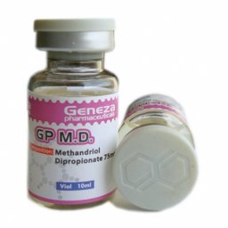 GP M.D. Image