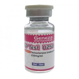 GP Test U250 Image