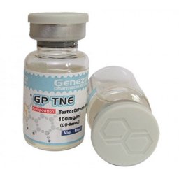 GP TNE Image