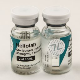 Heliolab Image