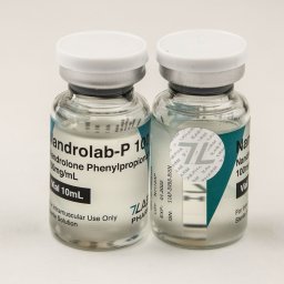 Nandrolab-P 100 Image