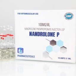 Nandrolone P Image
