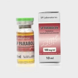 SP Parabolan Image