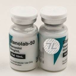 Stanolab-50 Image