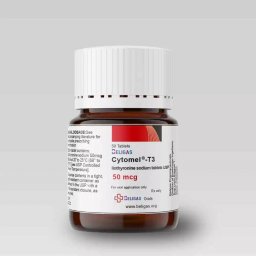 T3 Image