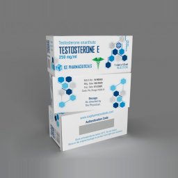 Testo E 1250 Image