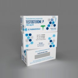 Testo P 200 Image