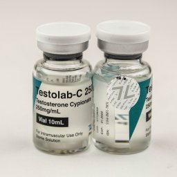 Testolab-C 250 Image