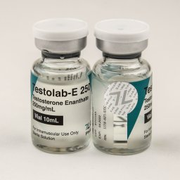 Testolab-E 250 Image