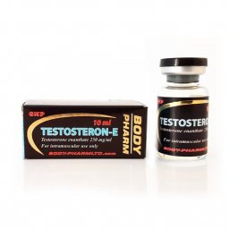 Testosteron-E Image