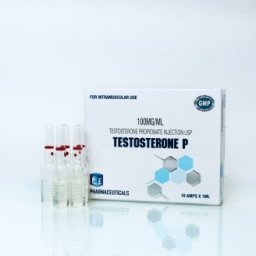 Testosterone P Image