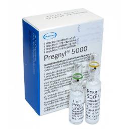 Pregnyl HCG 5000 IU - Human chorionic gonadotropin - Organon Ilaclari, Turkey