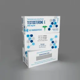 Testosterone E