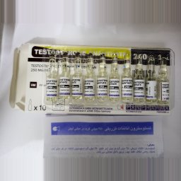 Testosterone Enanthate